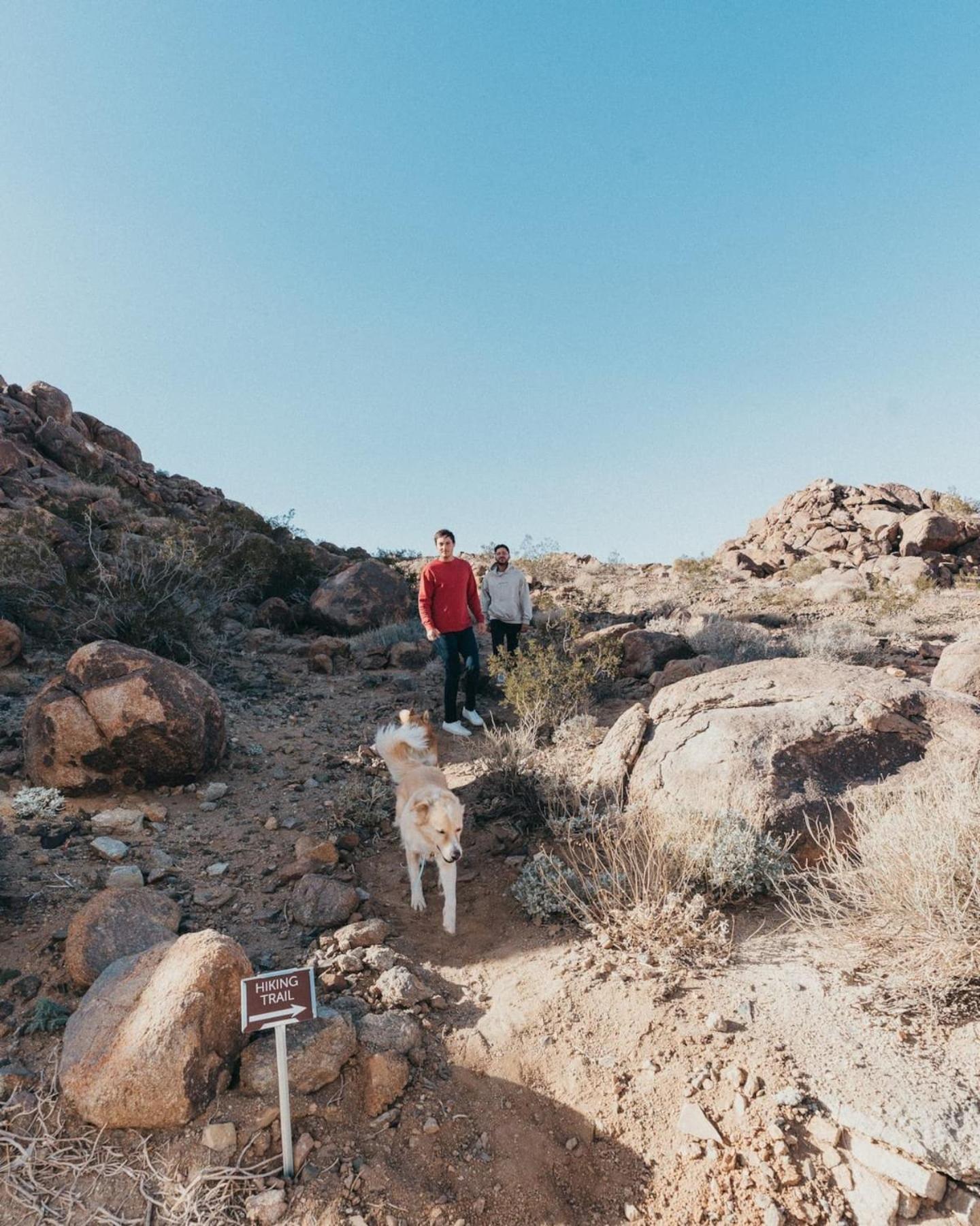 Prism By The Cohost Company Villa Joshua Tree Kültér fotó
